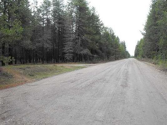 2nd image of Sheldon Ln