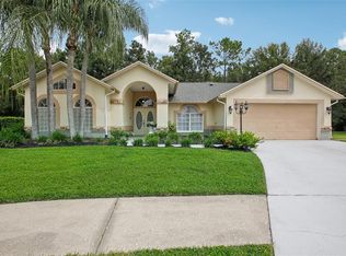 4870 Basswood St, Land O Lakes, FL 34639