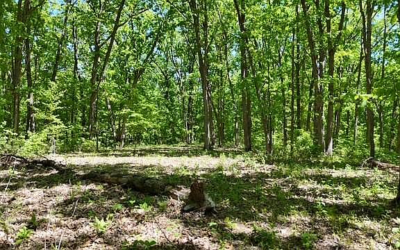 5th image of Phase #3-lot 38
