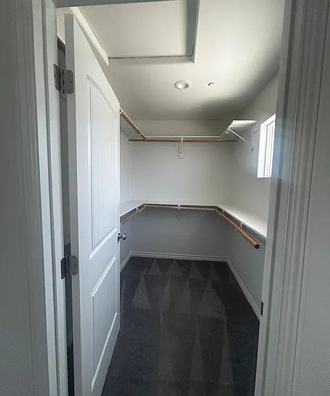 walk in closet (master room)