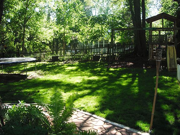 Fenced in backyard 8/2012