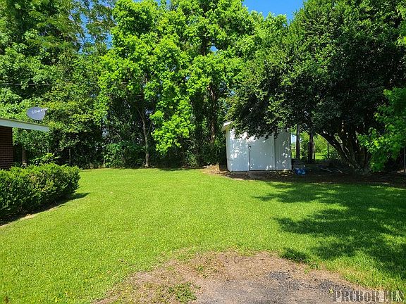3rd image of 203 Sweetgum St