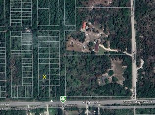 Osteen Maytown Rd #31, Osteen, FL 32764