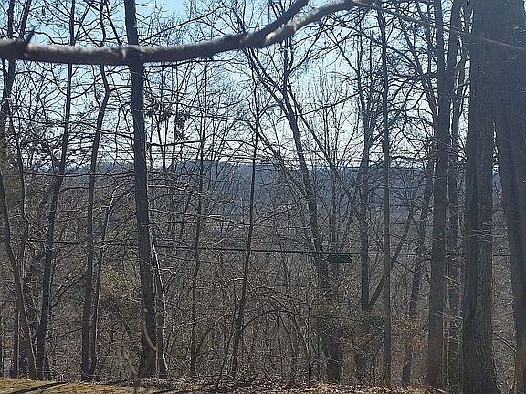 5th image of 1409 Echota Ln