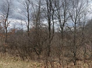 0 Centerline Rd, Saranac, MI 48881