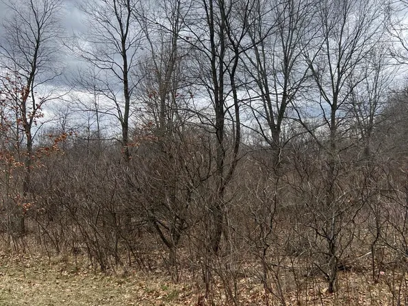 0 Centerline Rd, Saranac, MI 48881