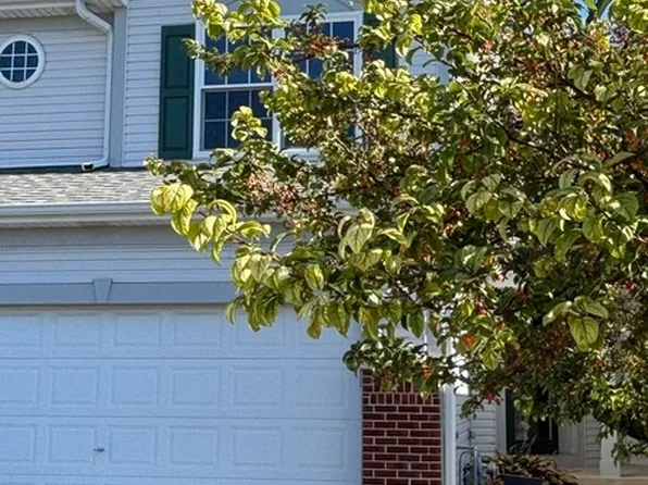 1271 Appaloosa Way, Bartlett, IL 60103