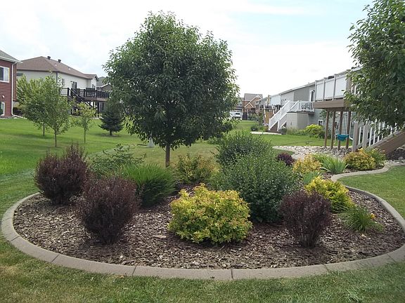 3rd image of 1936 Street Cir S #35