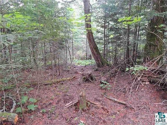 2nd image of XX Echo Woods Tr