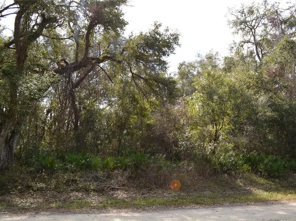 Rosehill Dr #6, Webster, FL 33597