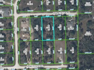 Prairie Falcon Rd, Weeki wachee, FL 34614