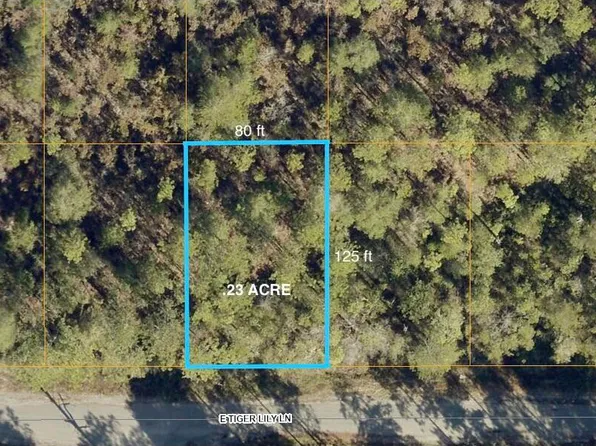 32 E Tiger Lily Ln, Defuniak Springs, FL 32433