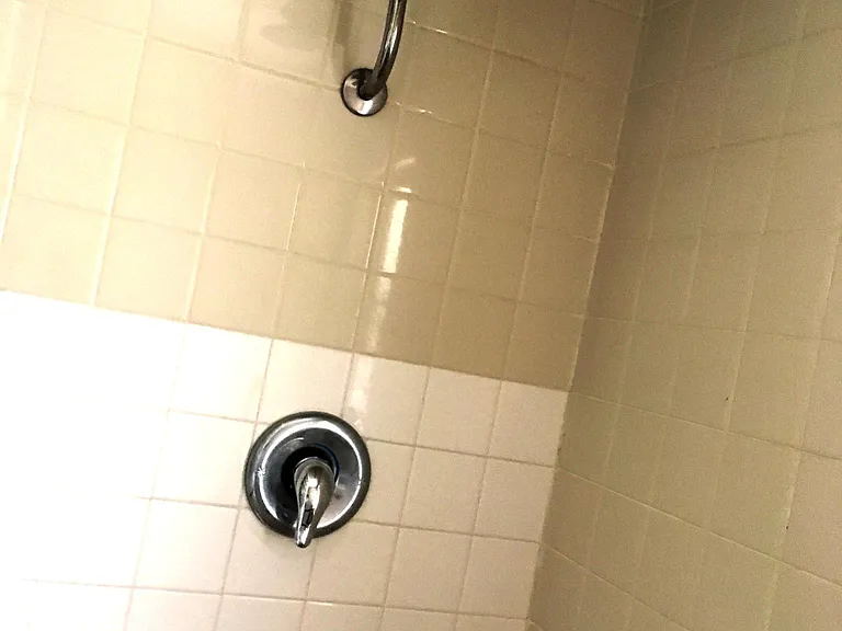Rain Shower head