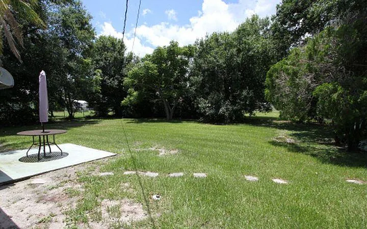 LARGE FENCED BACK YARD WITH FRUIT TREES