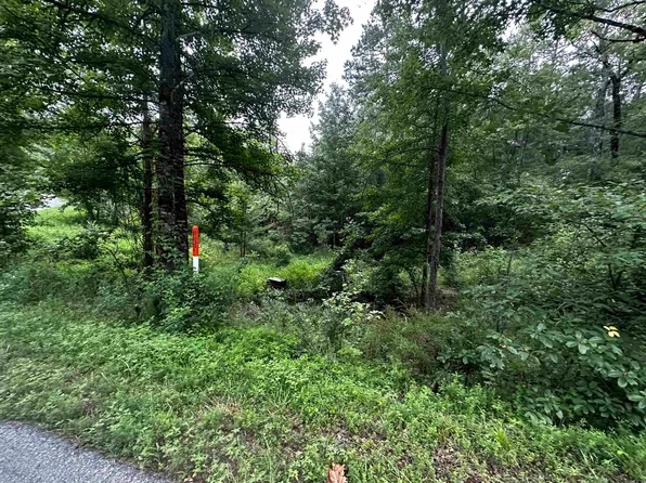 LOT 48 Cobalt Bay Dr, Shirley, AR 72153