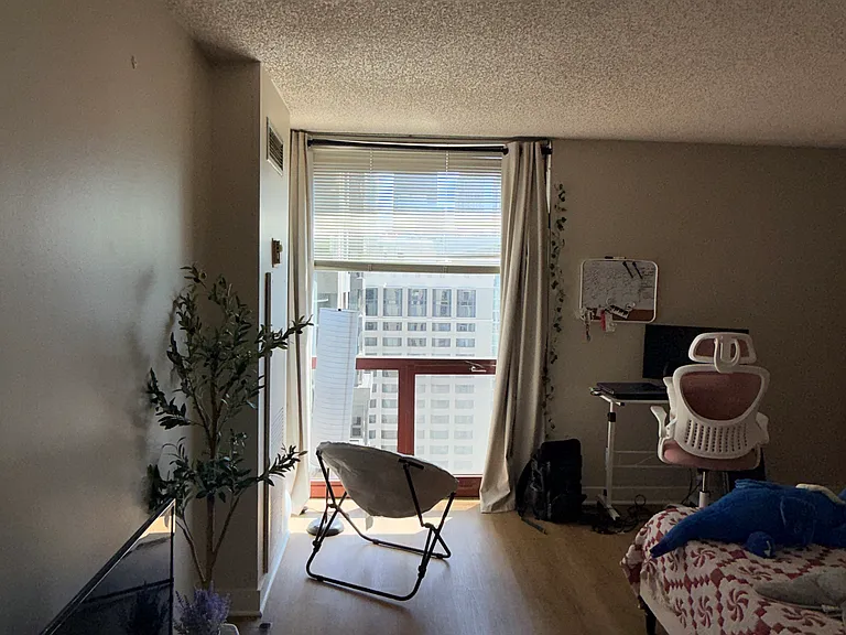 200 N Dearborn St #2906 — Photo 17