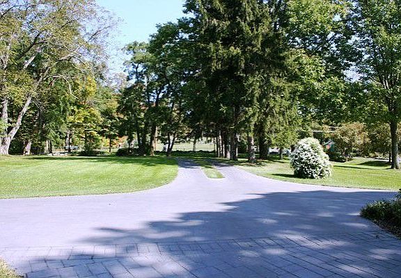 Down the Tree-Lined Drive