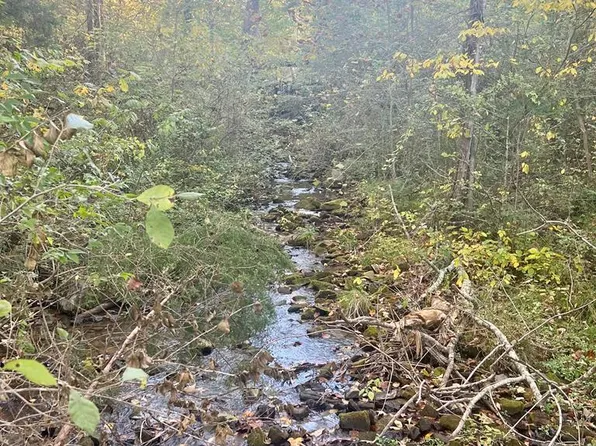 Elm Grove Rd, Livingston, TN 38570