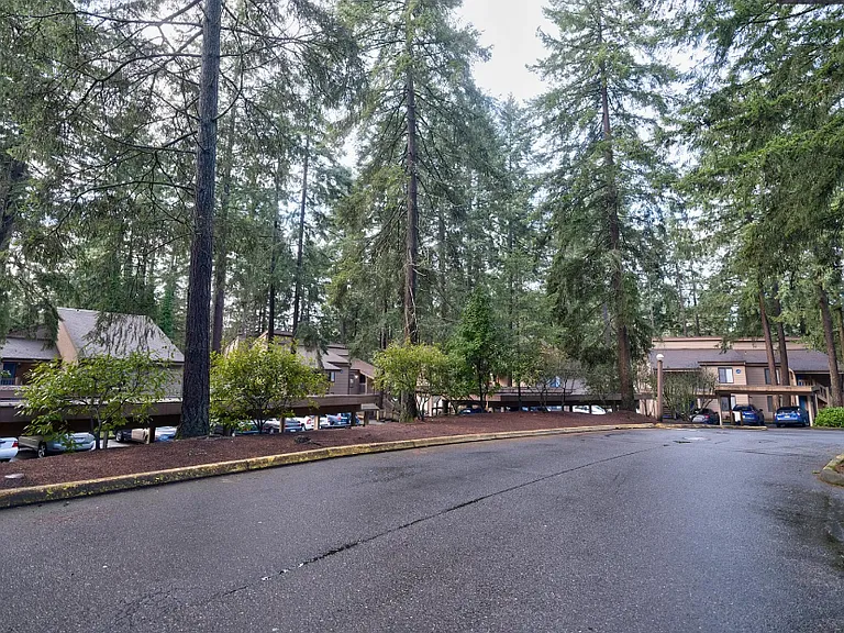 Lush Tree-Lined Community
