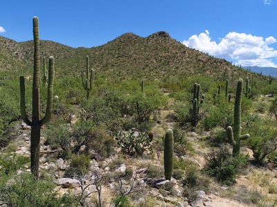 13041 E Placita Cantil #76, Tucson, AZ, 85749