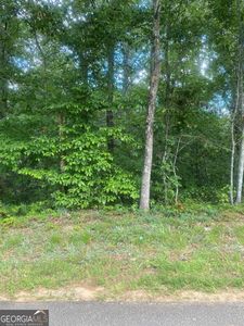4943 Old Orr Rd Lot 2, Flowery Branch, GA, 30542