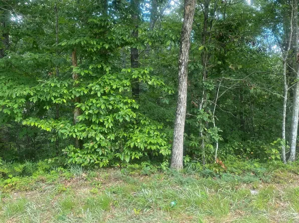 4943 Old Orr Rd Lot 2, Flowery Branch, GA 30542