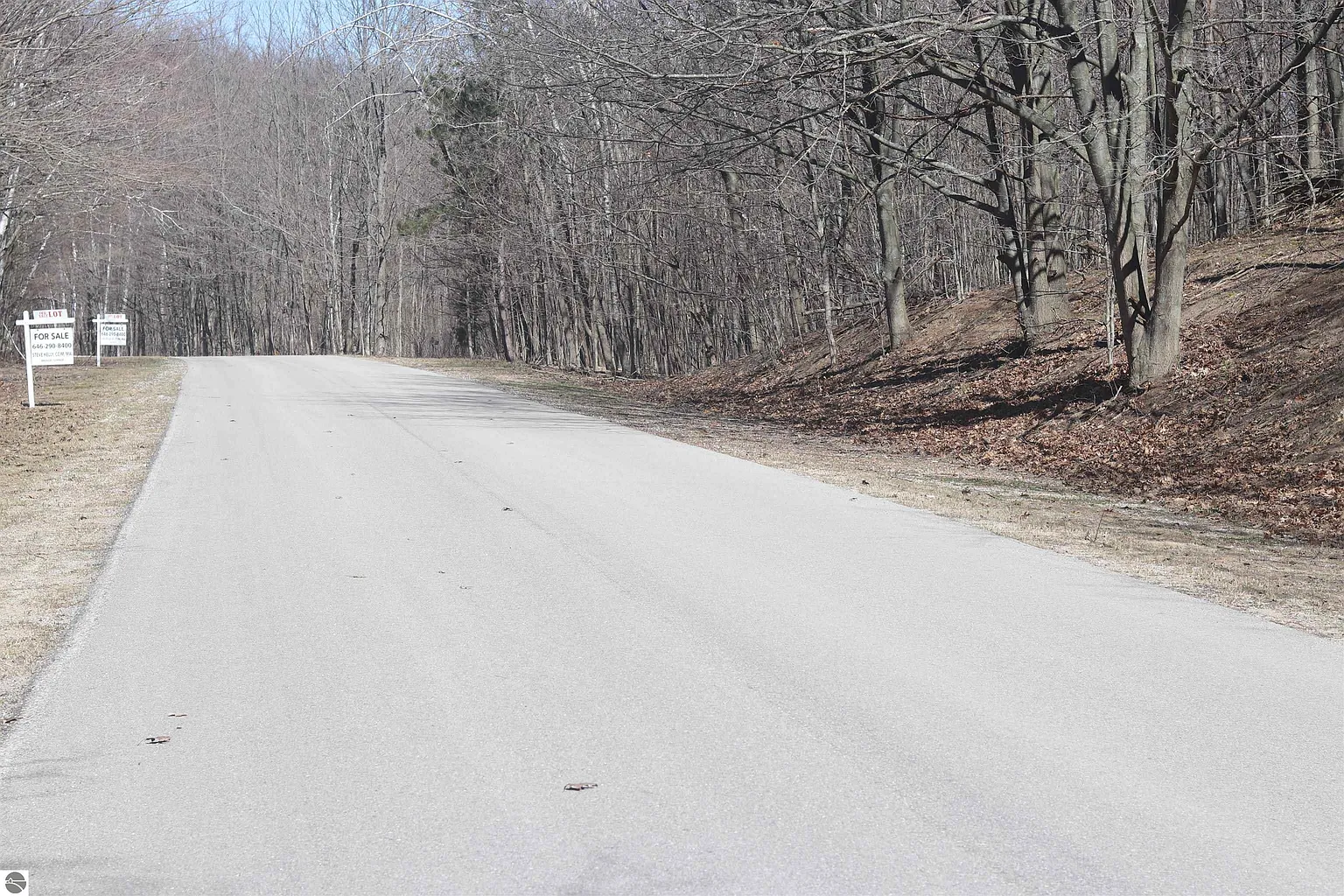 LOT 19 Crystal View Cmn photo 1