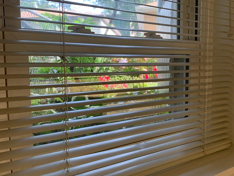 View to outside back gardens!