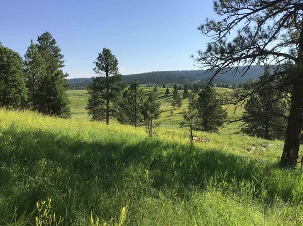 379 Garman Rd, Sundance, WY 82729