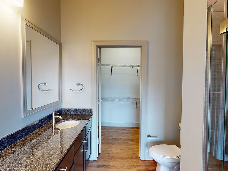Apartment bathroom with wood-style flooring and spacious closet.