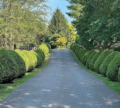 4th image of 12724 Split Creek Ct