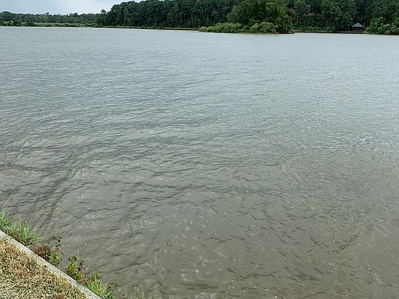 Waterfront view