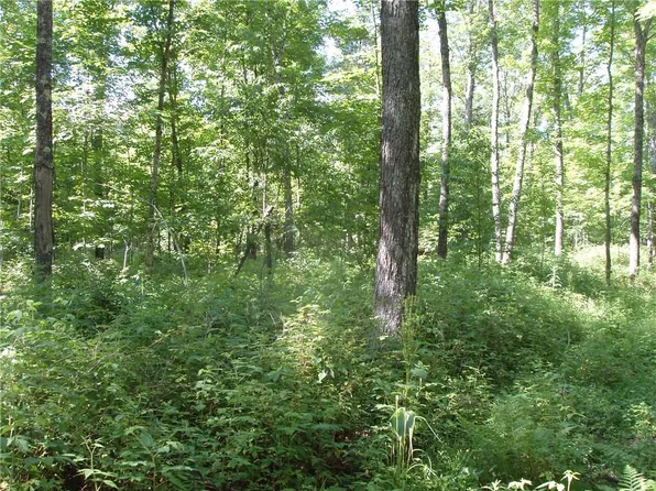 60+/- A On Mackenberg Road, Glidden, WI 54527
