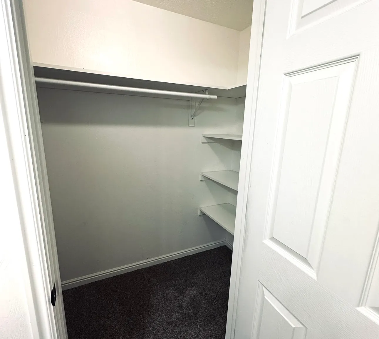 3 bed, 1344 sqft, $1,900 — Photo 4
