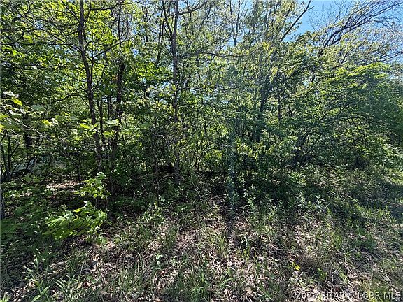 5th image of Ivy Bend Rd
