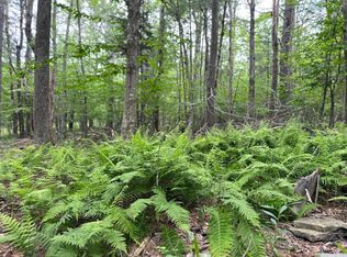 47 - 67 Shad Road, East Jewett, NY 12424