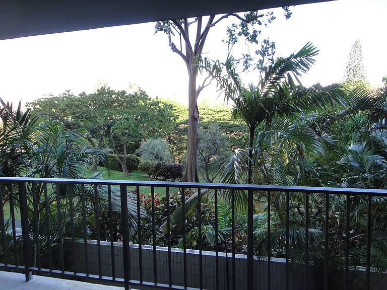 98-500 Koauka Loop — Photo 15