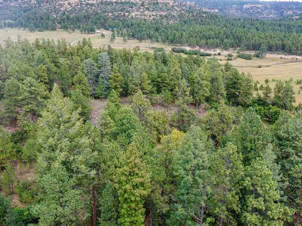 18990 Bellanca Circle, Weston, CO 81082