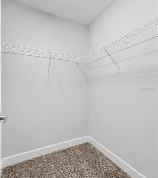 Terra Esmeralda Dr — Photo 11