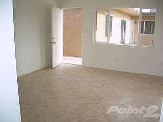 Large Decorative Tile