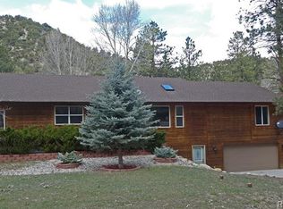 15238 Cottonwood Ln, Nathrop, CO 81236