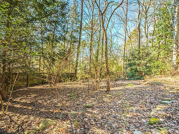 Peaceful wooded backyard