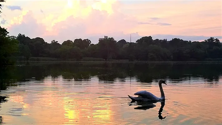 Sold by Douglas Elliman | media 24