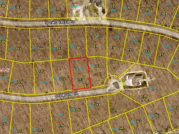 1338 Champion Dr, Sunrise Beach, MO 65079