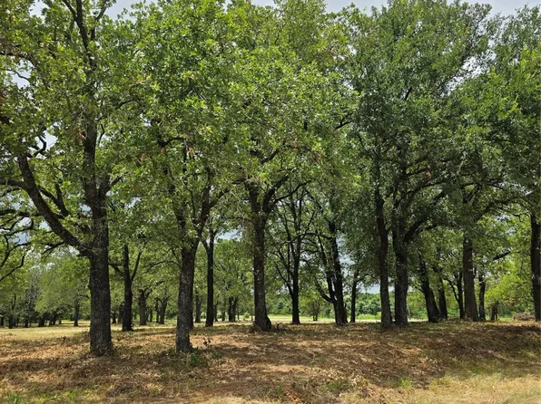 1895 Sunflower Lot 2, Paradise, TX 76073