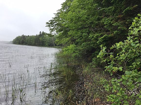 South view- build a dock