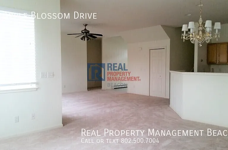14 Apple Blossom Dr — Photo 8