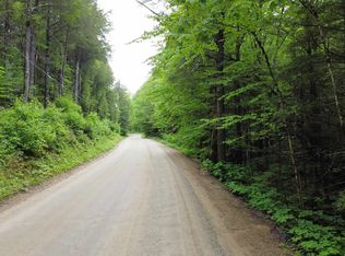 Lots 51 & 54 Bog Rd, Bristol, NH 03222