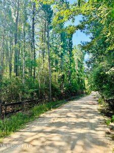 46 American Way, Picayune, MS, 39466