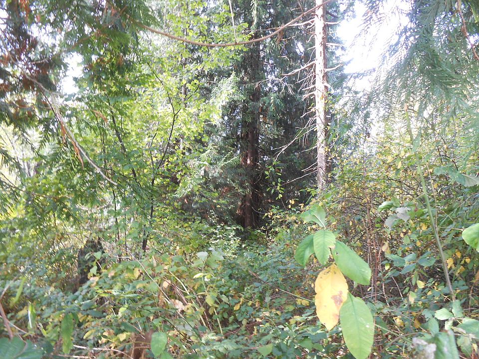 1st image of 2600 99th Ave NE